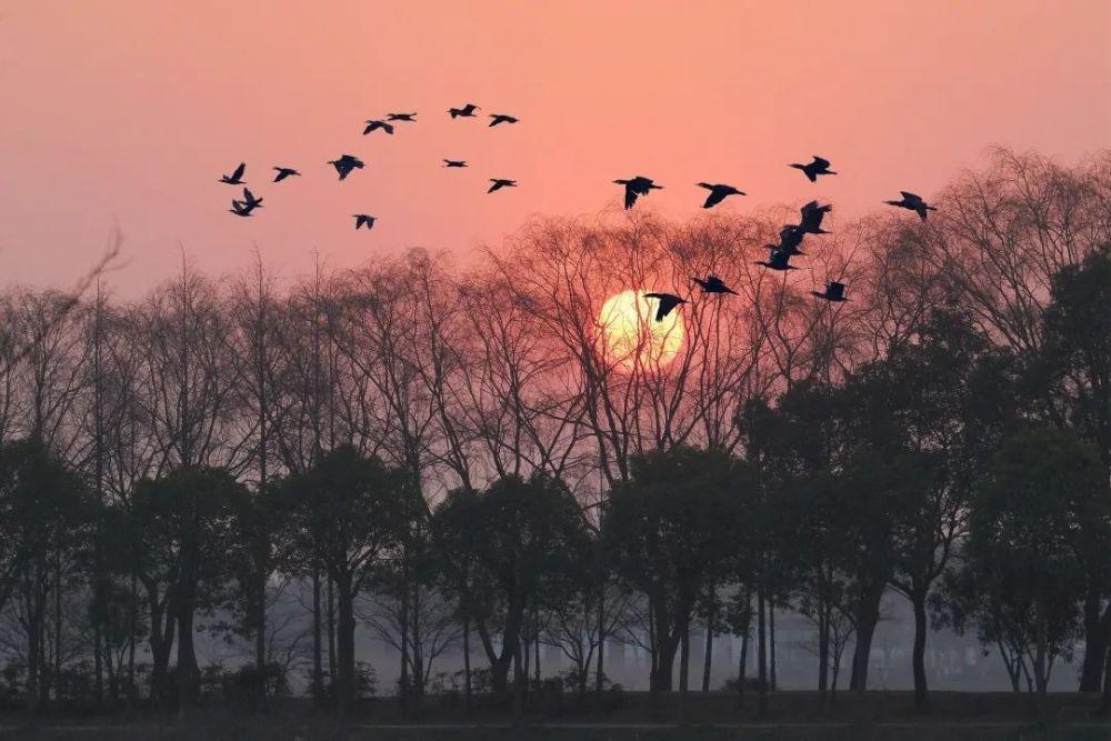 缤纷糖果消消乐